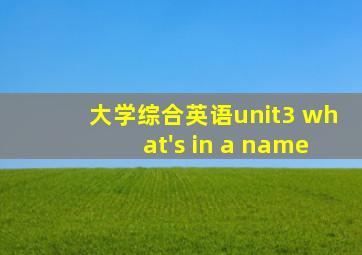 大学综合英语unit3 what's in a name